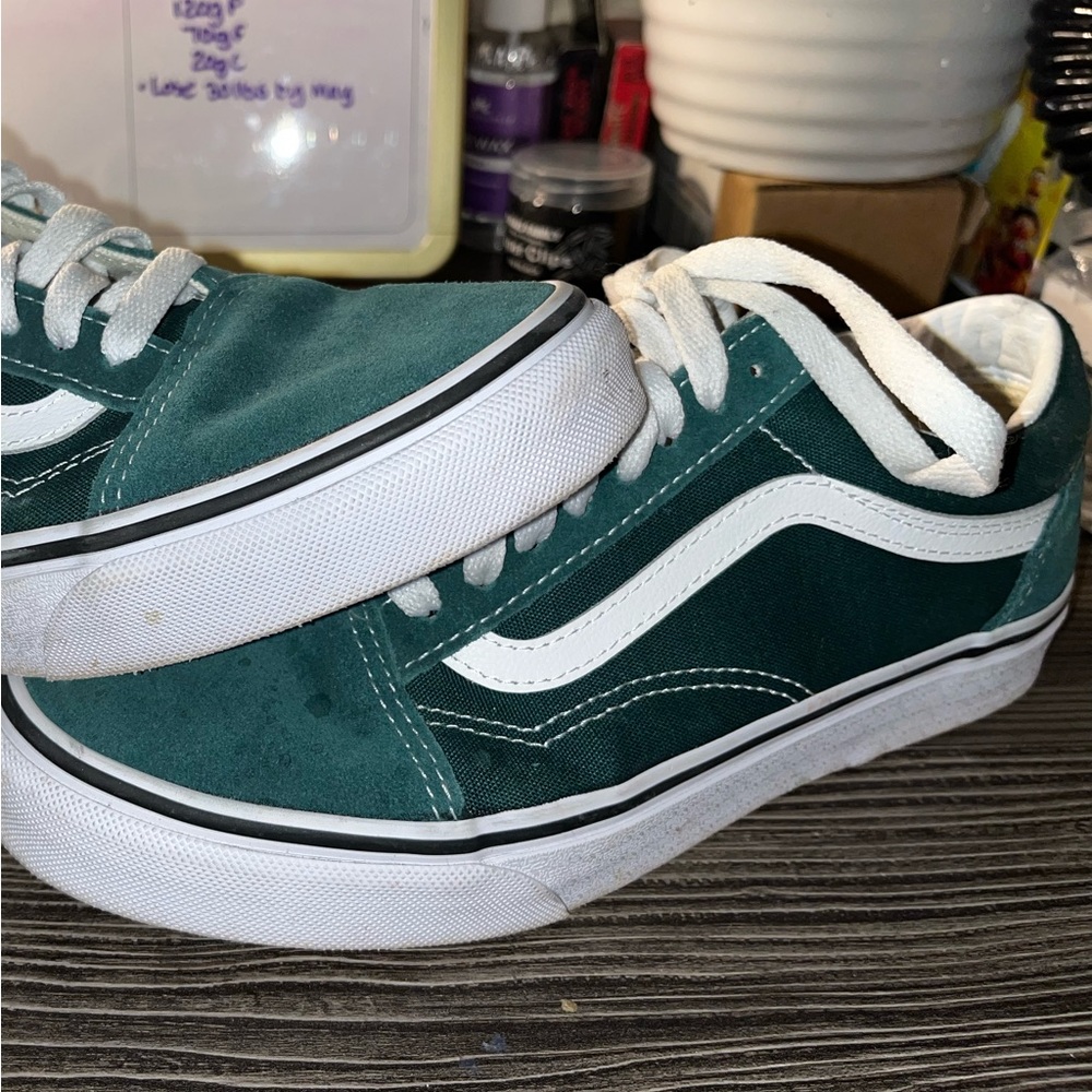 Vans Skate Shoes